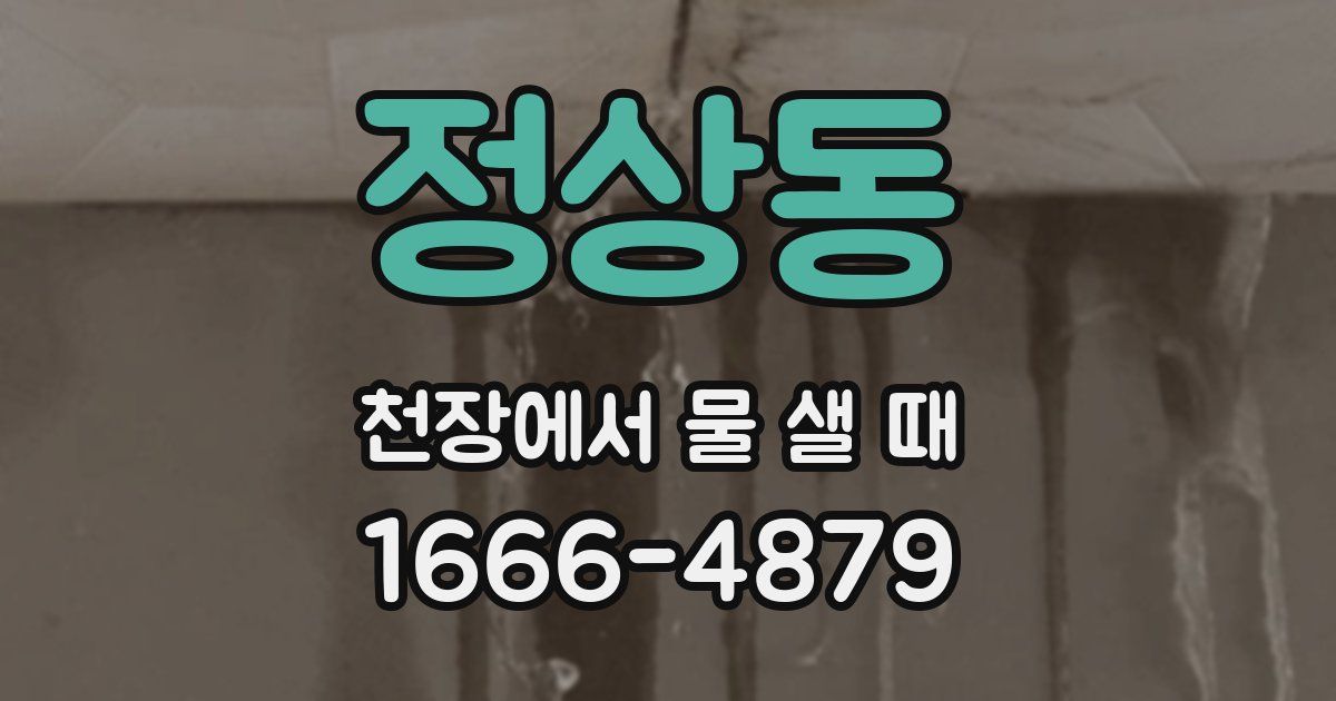 정상동 천장에서 물 샐 때