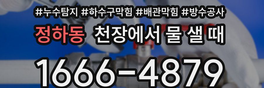 정하동 천장에서 물 샐 때