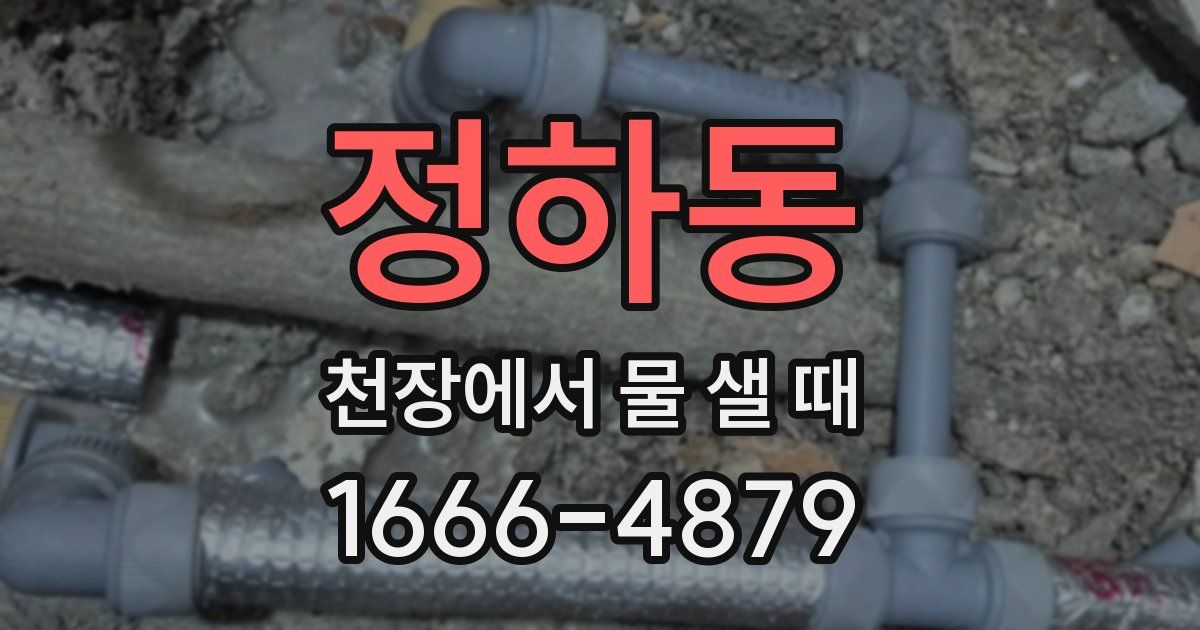 정하동 천장에서 물 샐 때