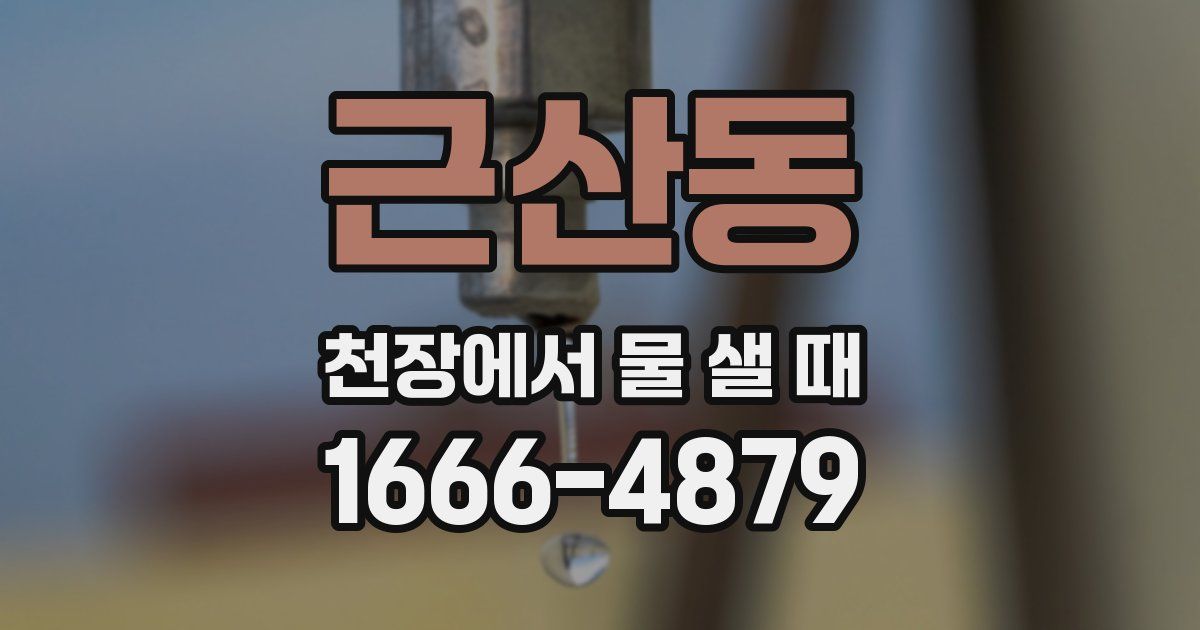 근산동 천장에서 물 샐 때