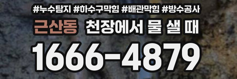 근산동 천장에서 물 샐 때