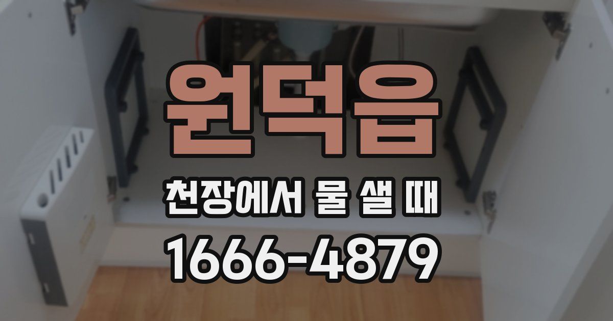 원덕읍 천장에서 물 샐 때