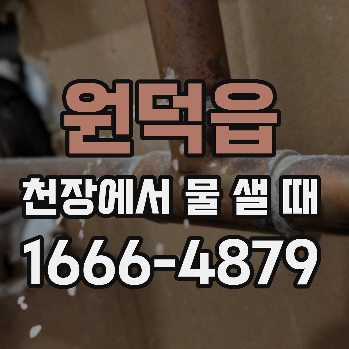 원덕읍 천장에서 물 샐 때