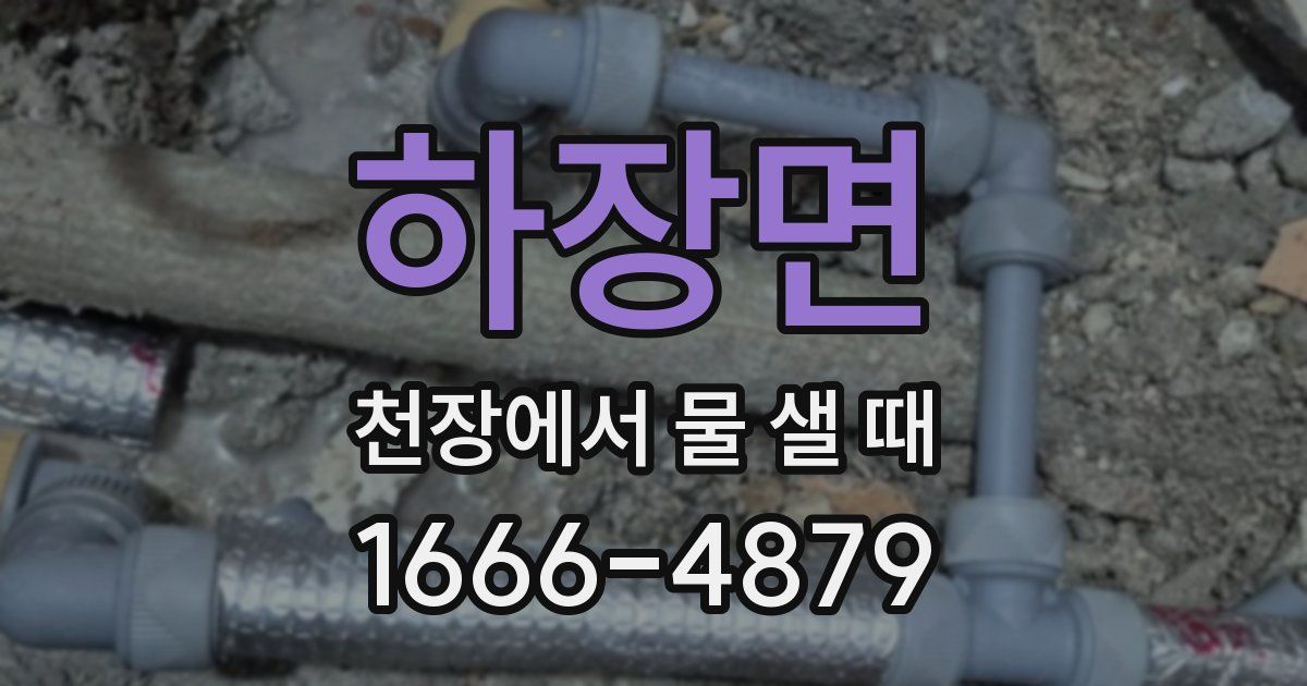 하장면 천장에서 물 샐 때
