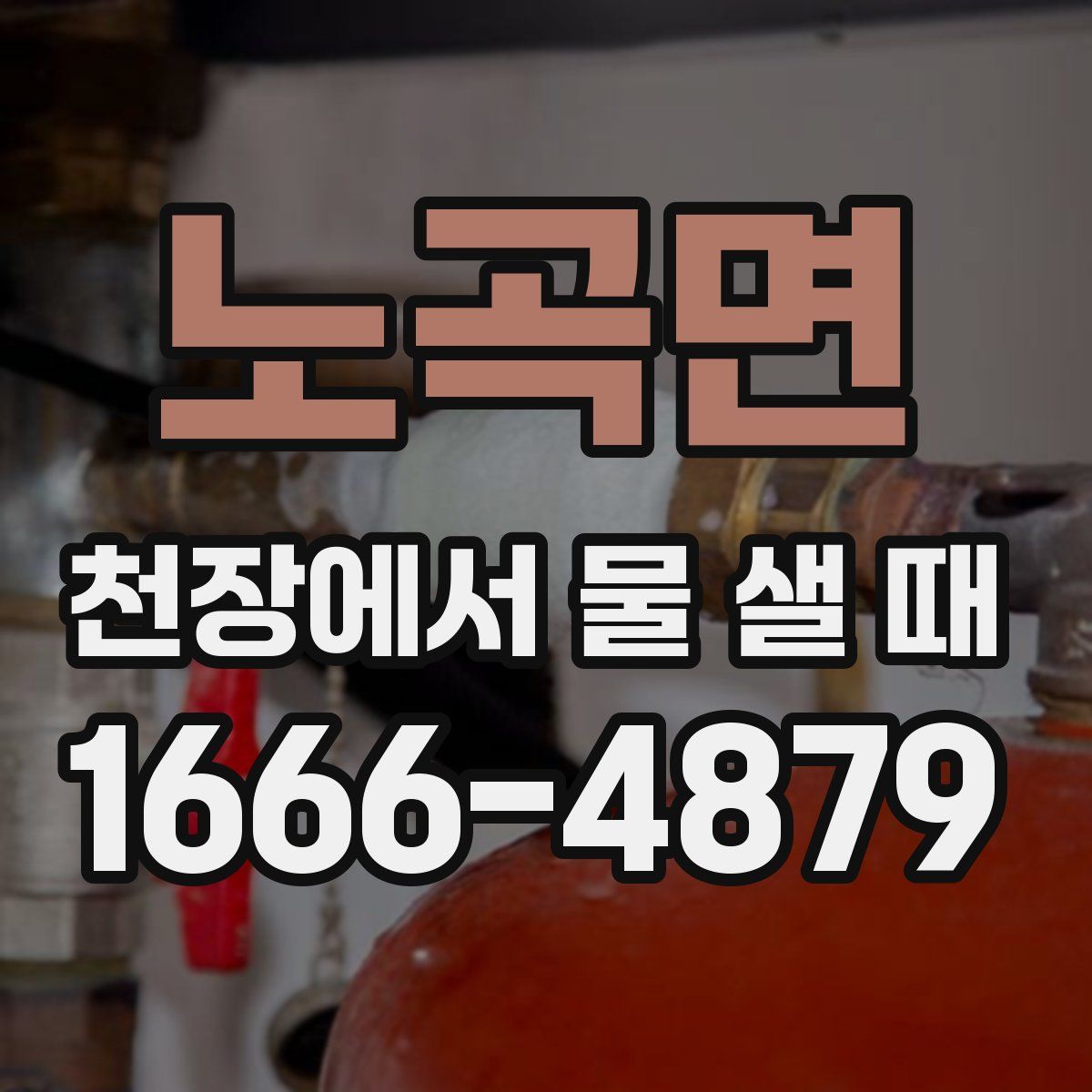 노곡면 천장에서 물 샐 때