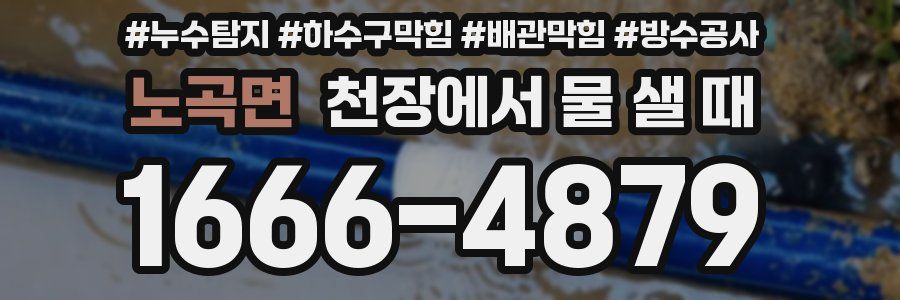 노곡면 천장에서 물 샐 때