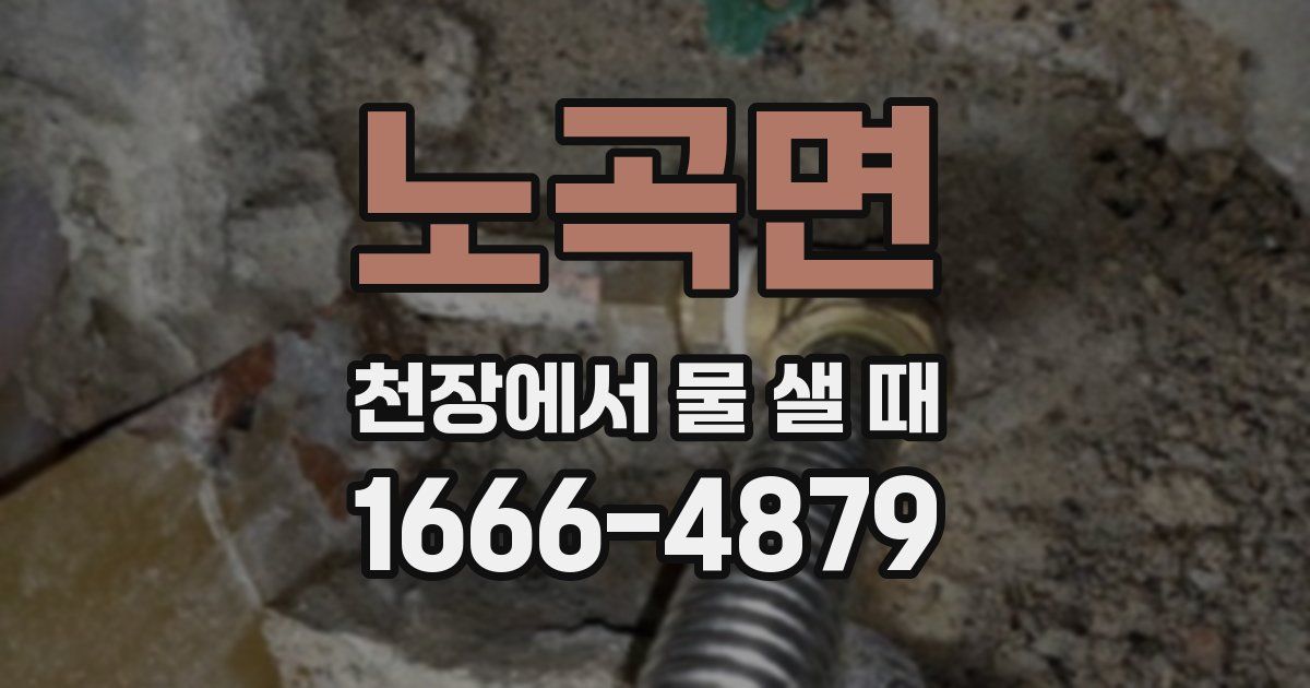 노곡면 천장에서 물 샐 때