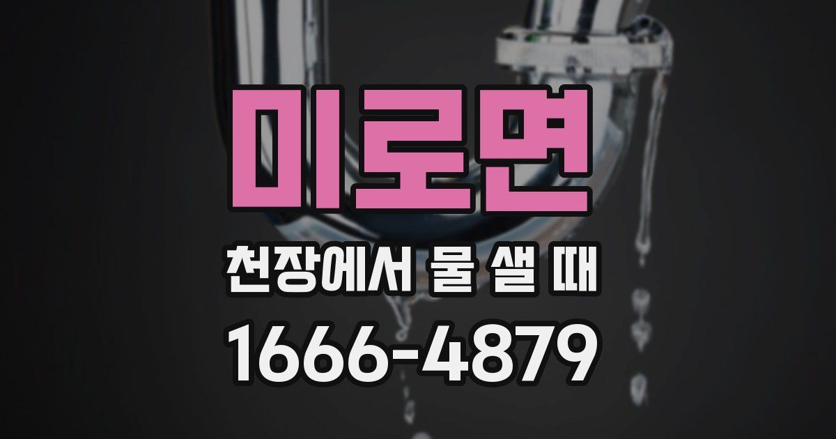 미로면 천장에서 물 샐 때