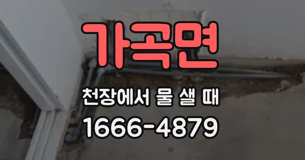 가곡면 천장에서 물 샐 때