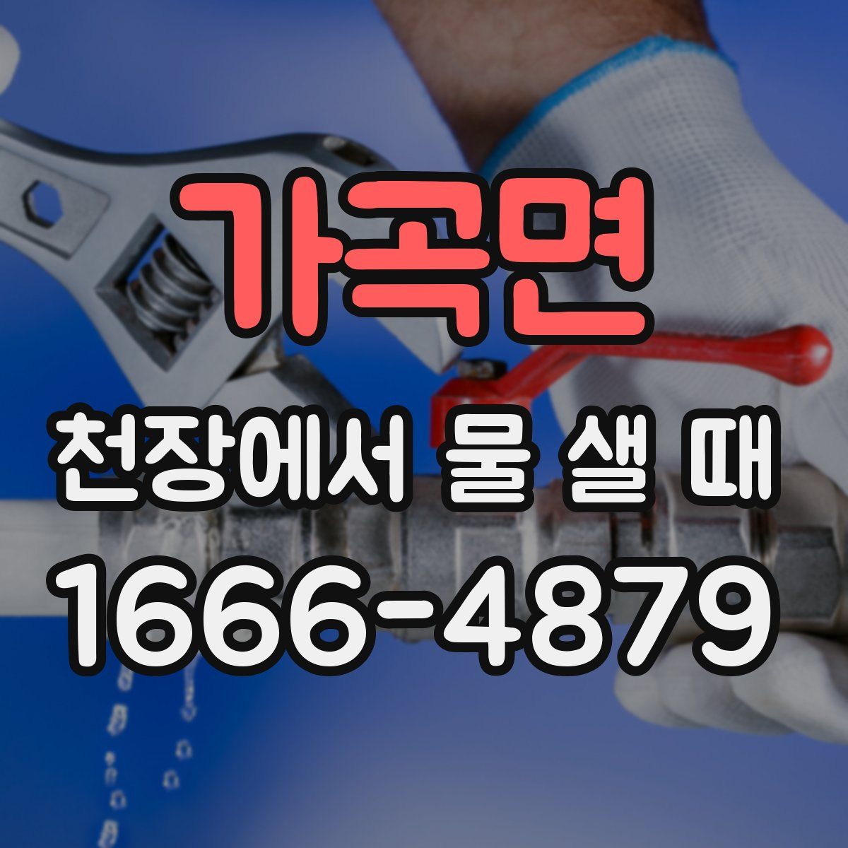 가곡면 천장에서 물 샐 때