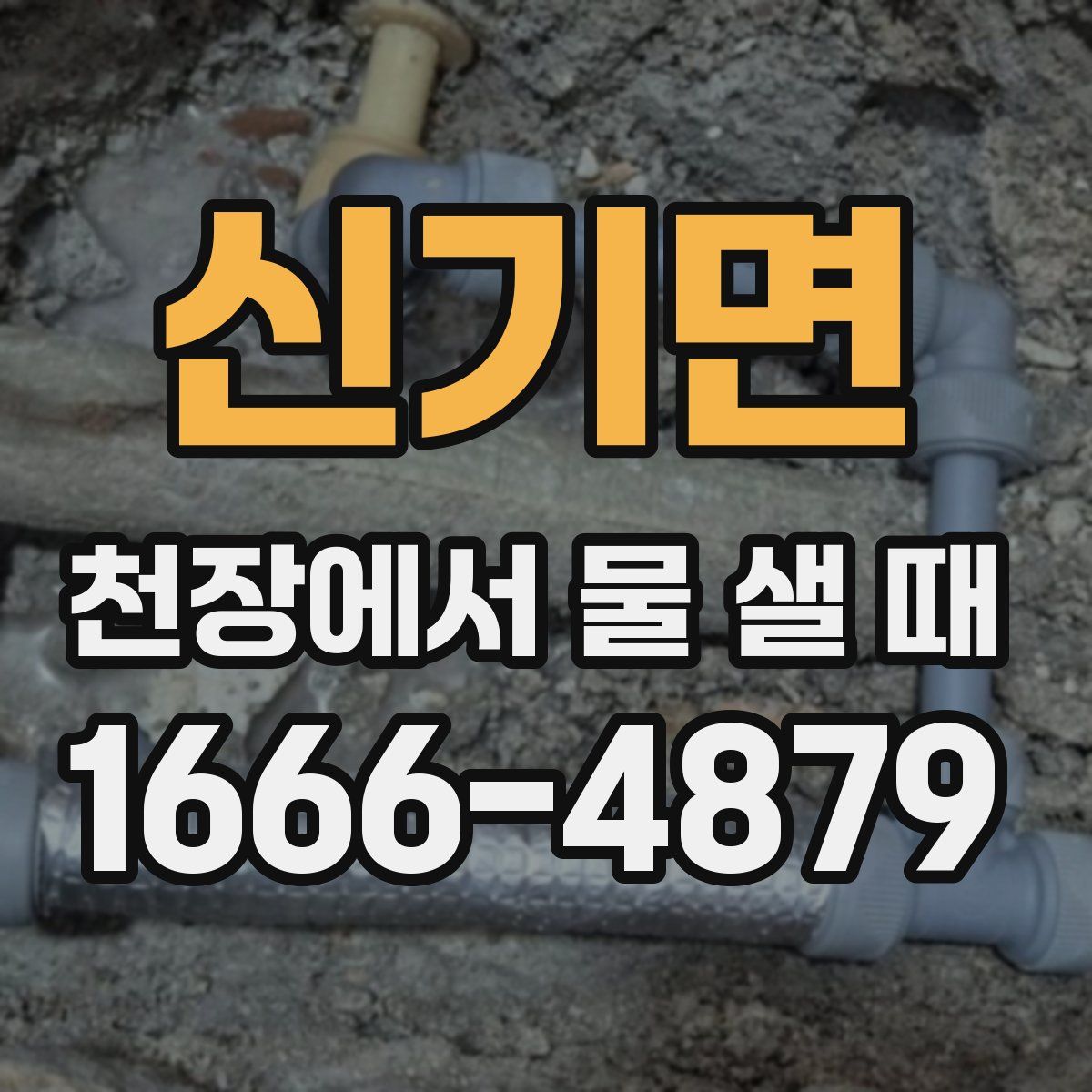 신기면 천장에서 물 샐 때