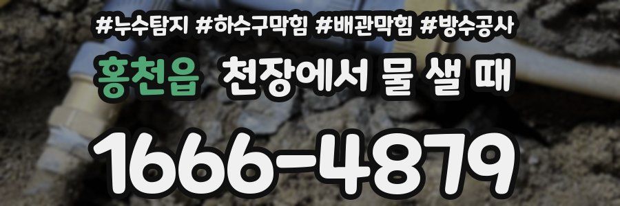 홍천읍 천장에서 물 샐 때