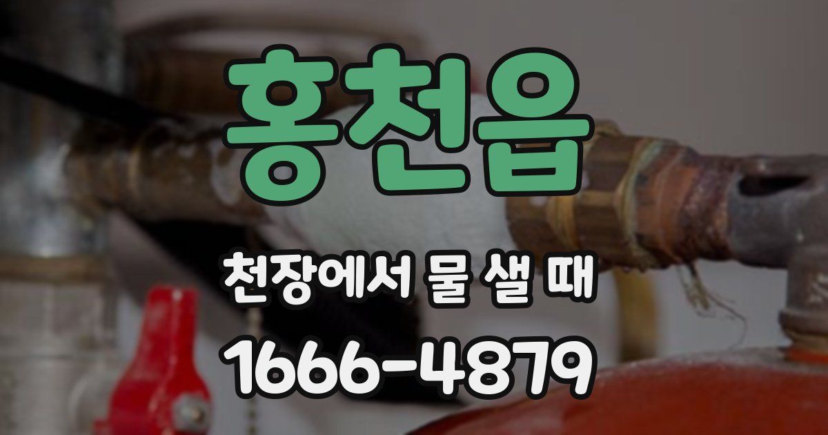 홍천읍 천장에서 물 샐 때