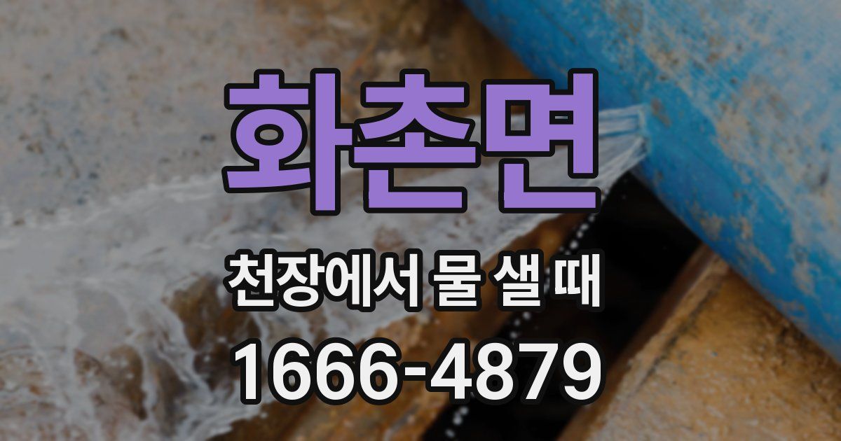화촌면 천장에서 물 샐 때