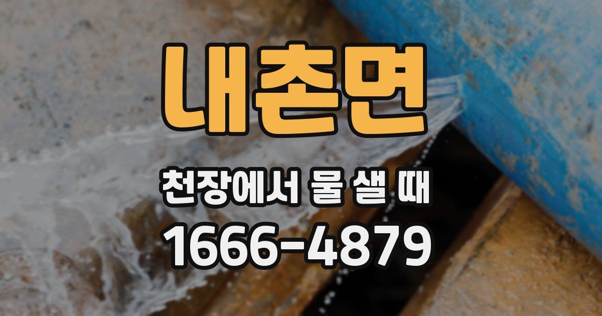 내촌면 천장에서 물 샐 때