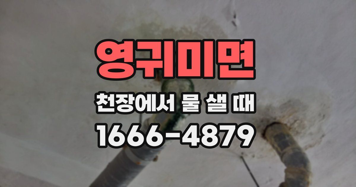 영귀미면 천장에서 물 샐 때