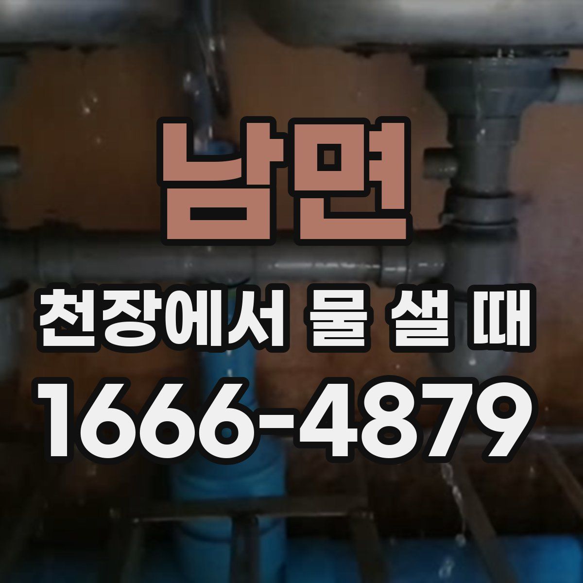 남면 천장에서 물 샐 때