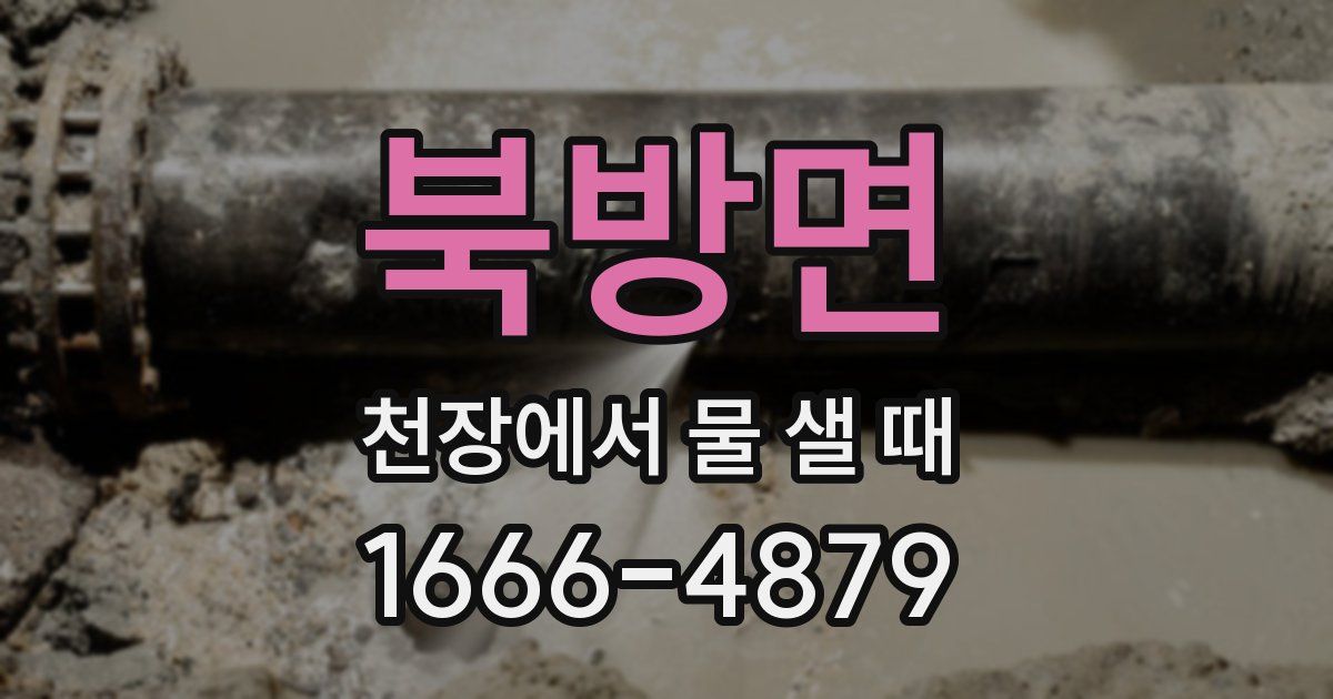 북방면 천장에서 물 샐 때