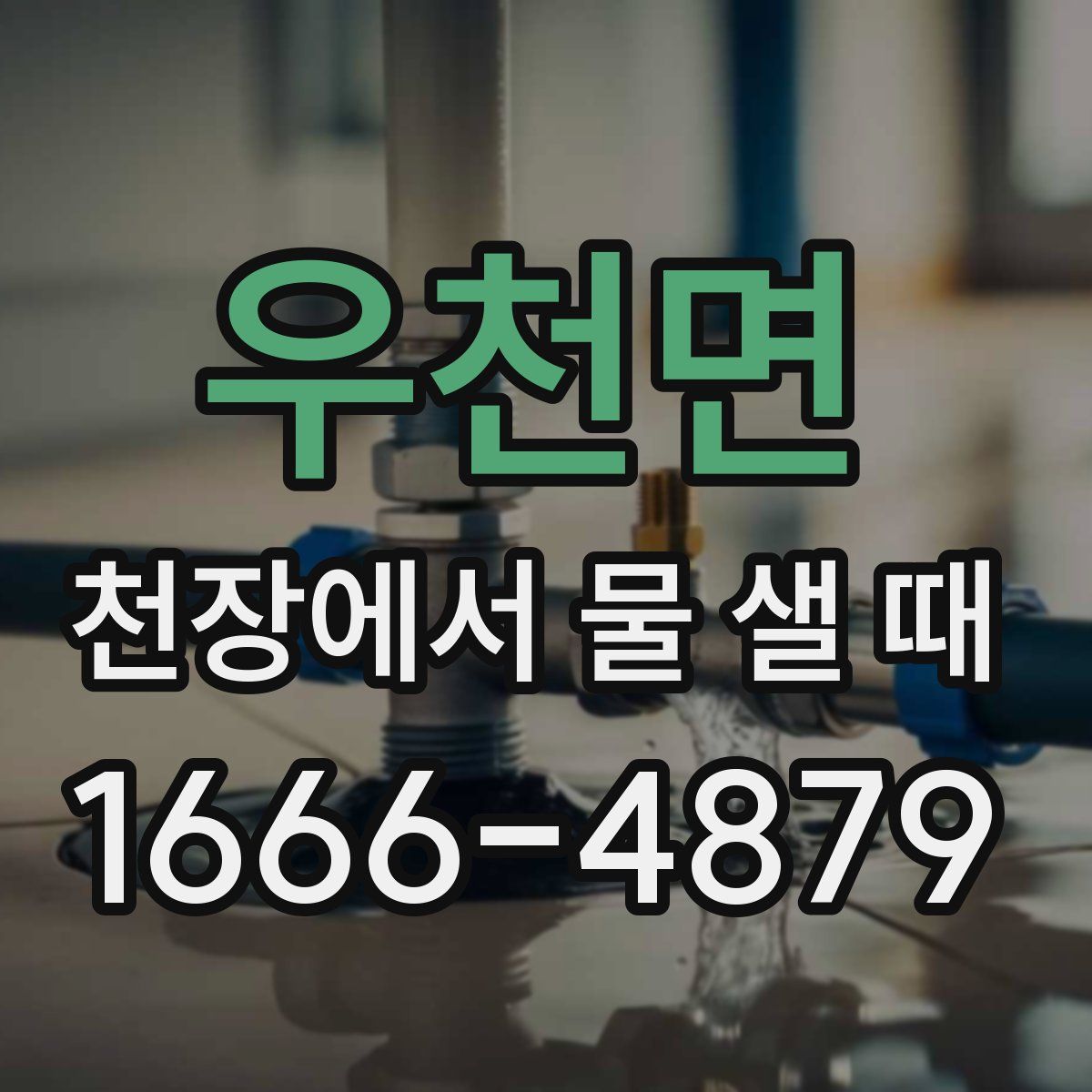 우천면 천장에서 물 샐 때
