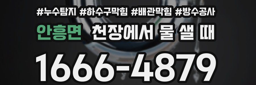 안흥면 천장에서 물 샐 때