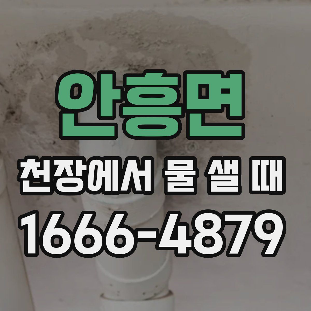 안흥면 천장에서 물 샐 때