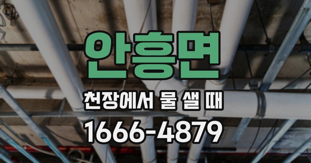 안흥면 천장에서 물 샐 때