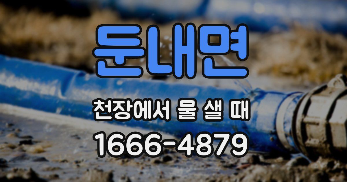 둔내면 천장에서 물 샐 때