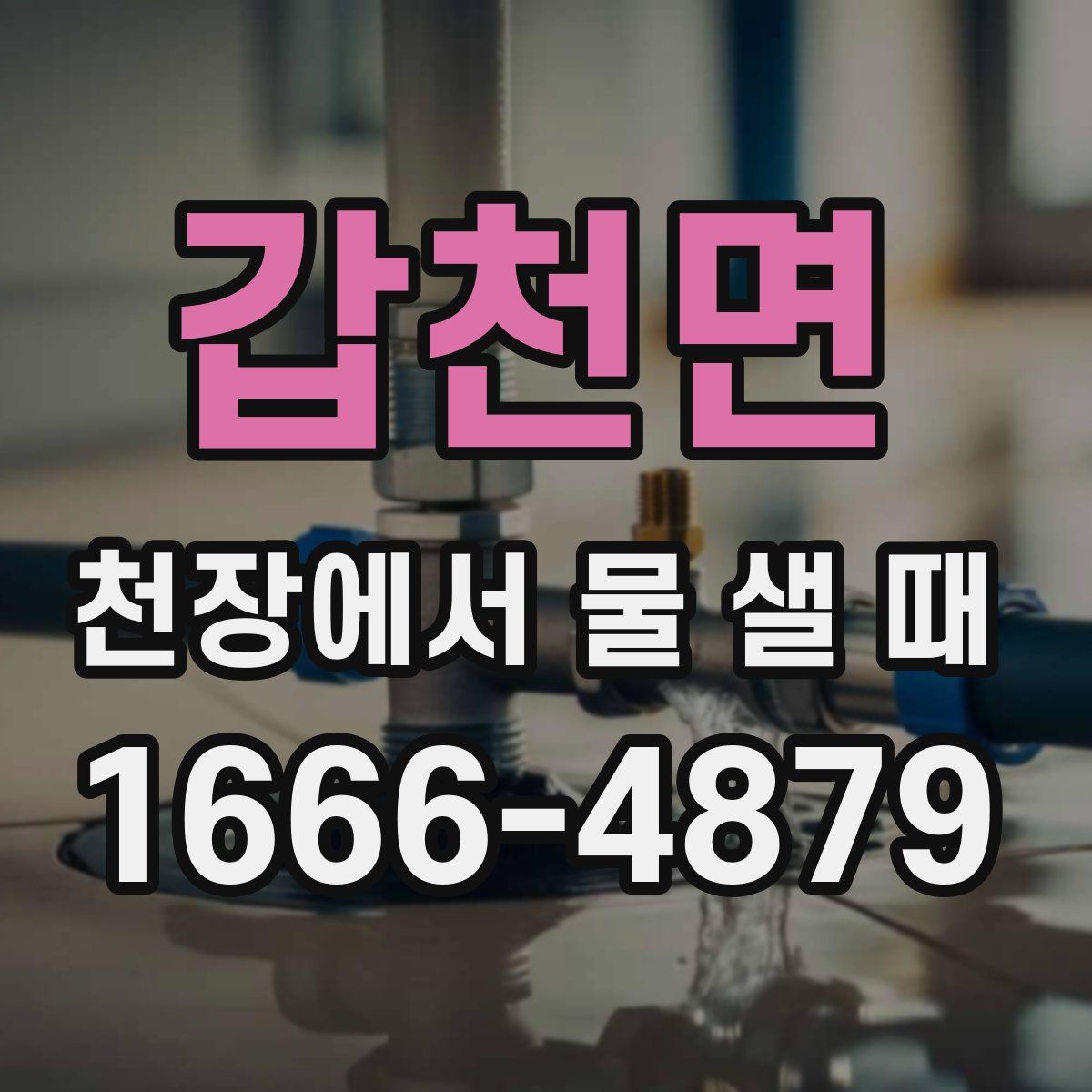 갑천면 천장에서 물 샐 때