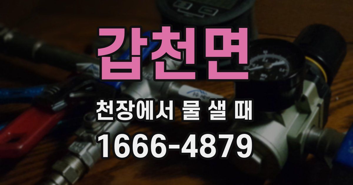 갑천면 천장에서 물 샐 때