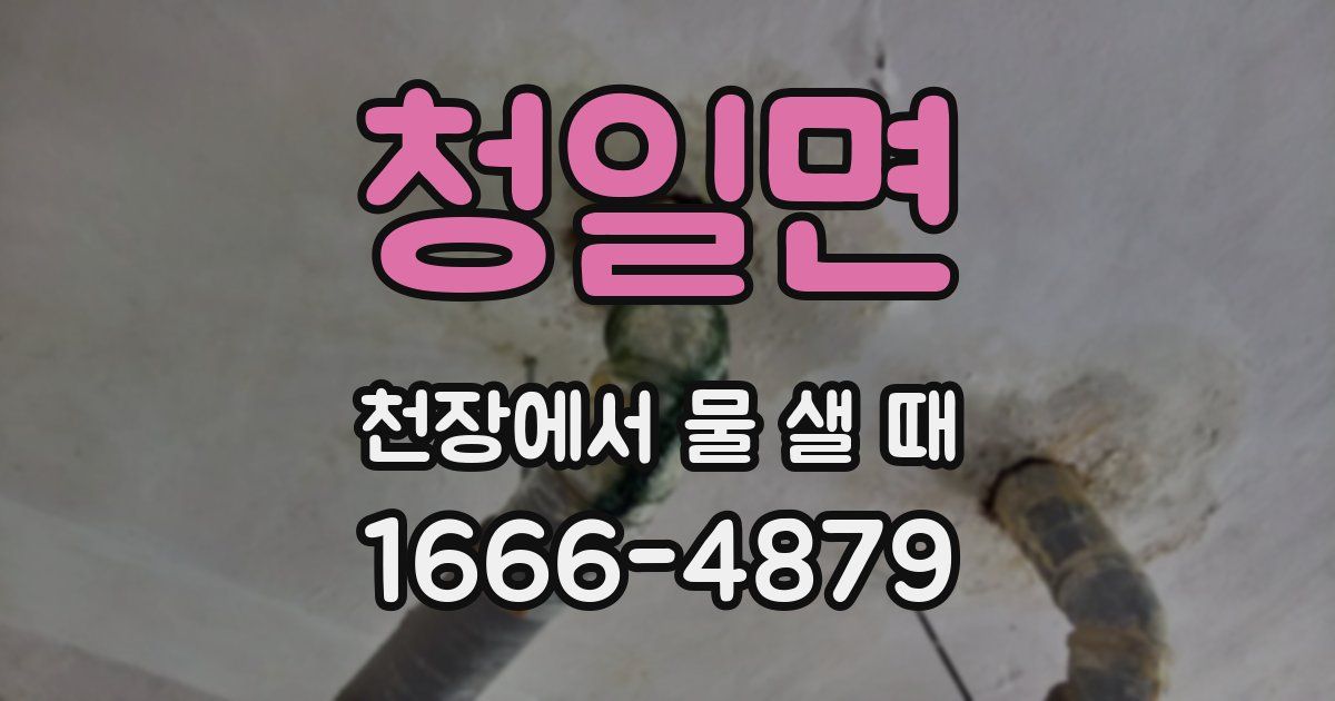 청일면 천장에서 물 샐 때