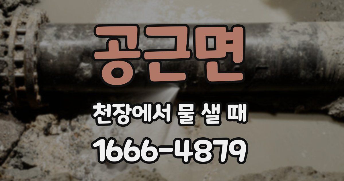 공근면 천장에서 물 샐 때