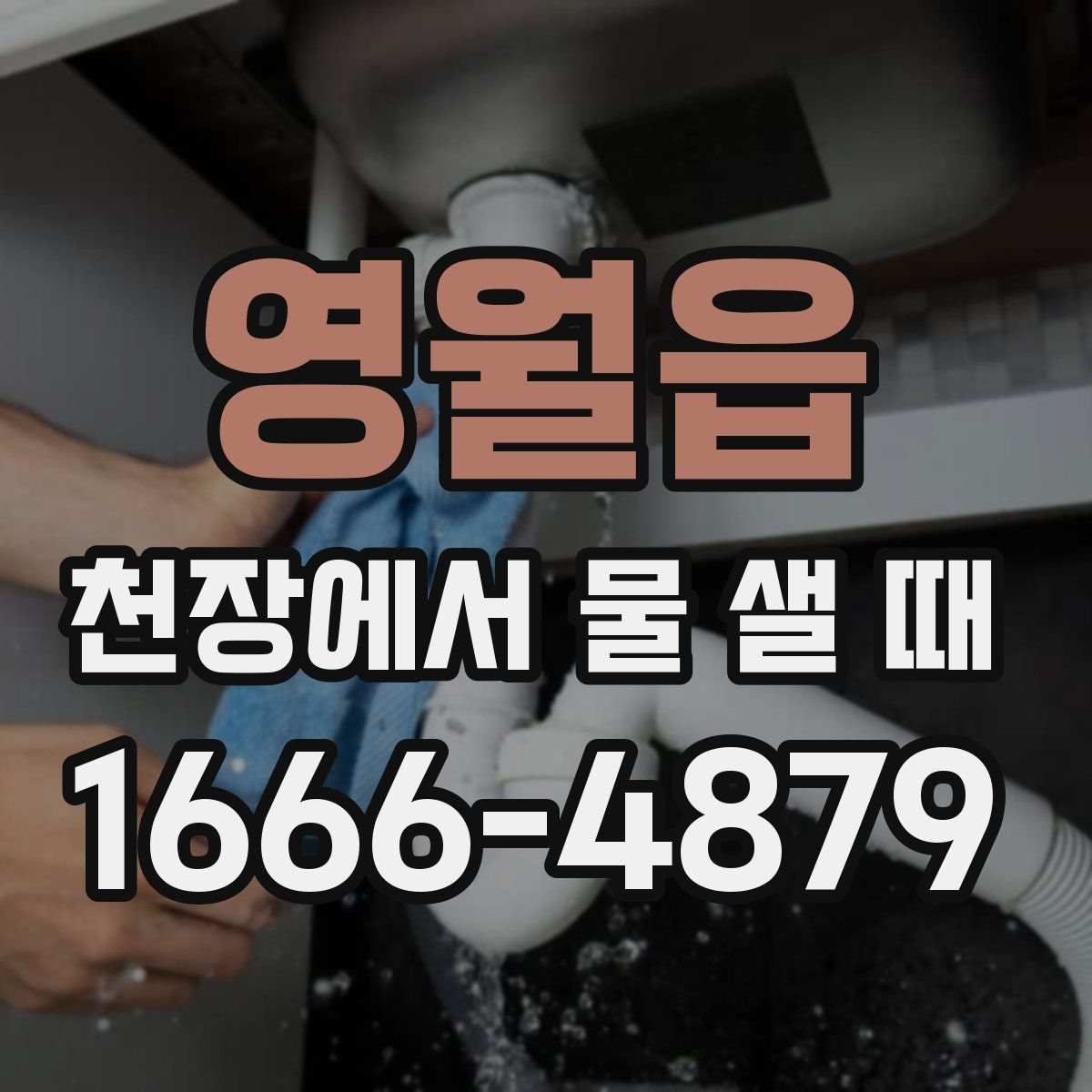 영월읍 천장에서 물 샐 때
