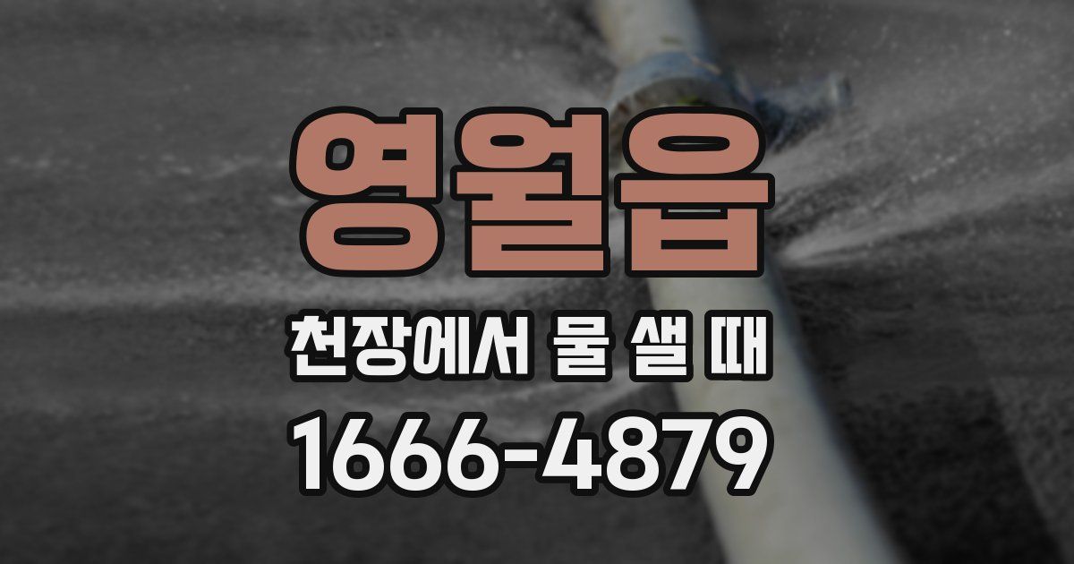 영월읍 천장에서 물 샐 때