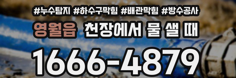 영월읍 천장에서 물 샐 때