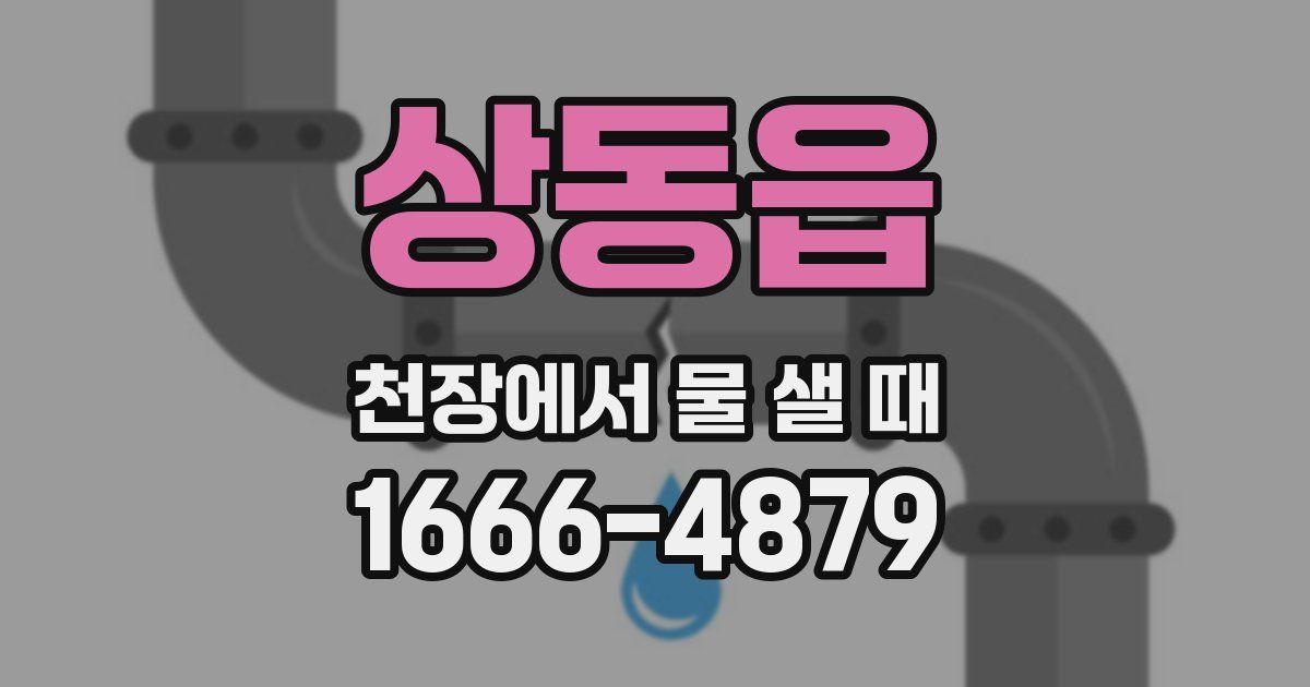 상동읍 천장에서 물 샐 때