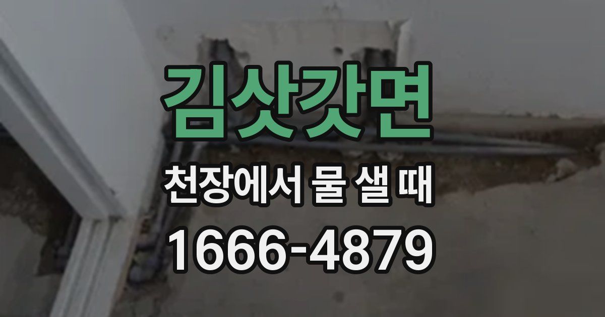 김삿갓면 천장에서 물 샐 때