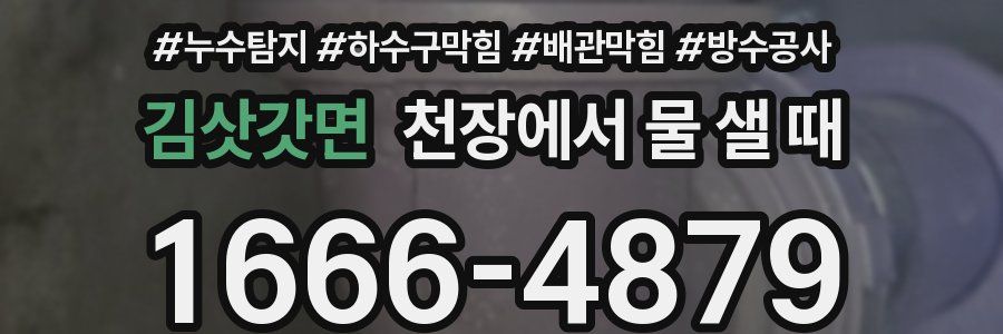 김삿갓면 천장에서 물 샐 때