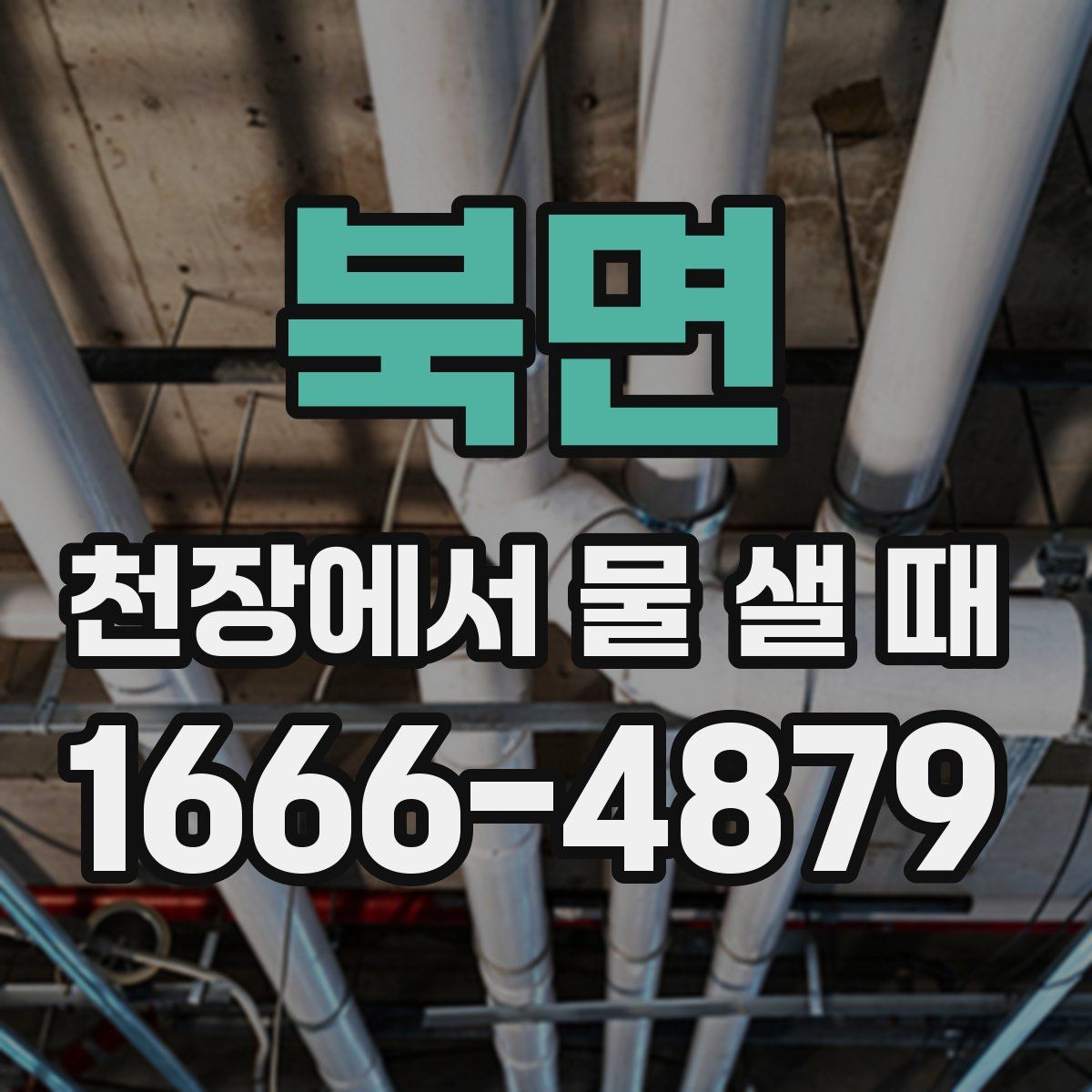 북면 천장에서 물 샐 때