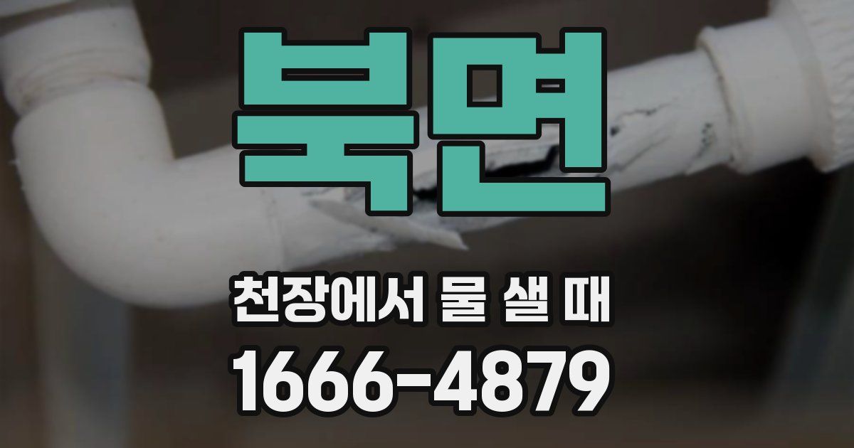 북면 천장에서 물 샐 때