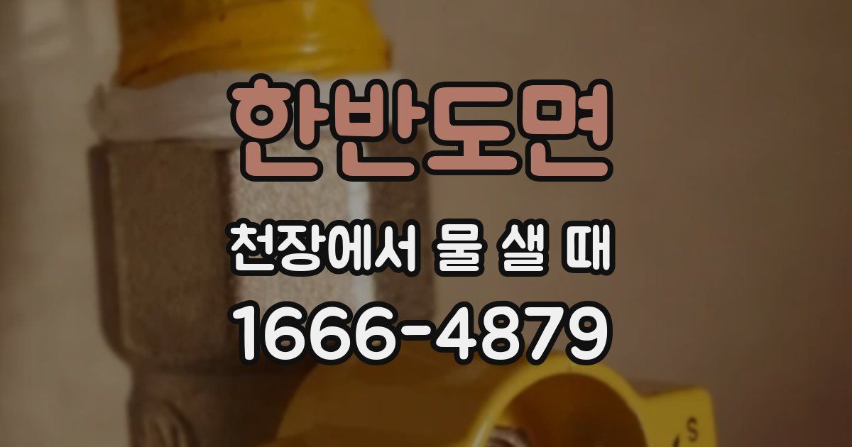 한반도면 천장에서 물 샐 때