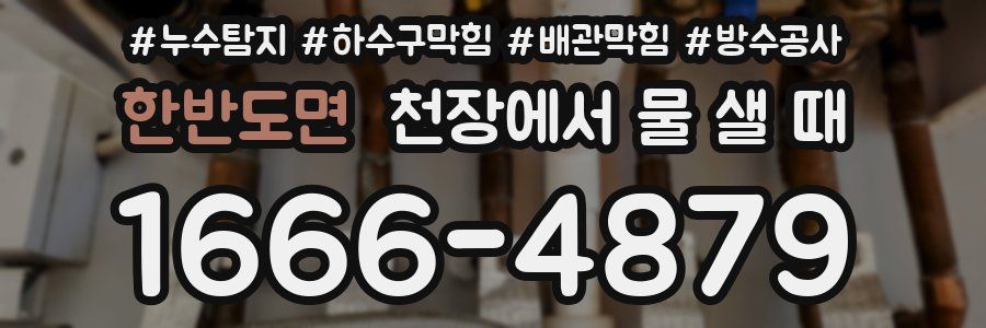 한반도면 천장에서 물 샐 때
