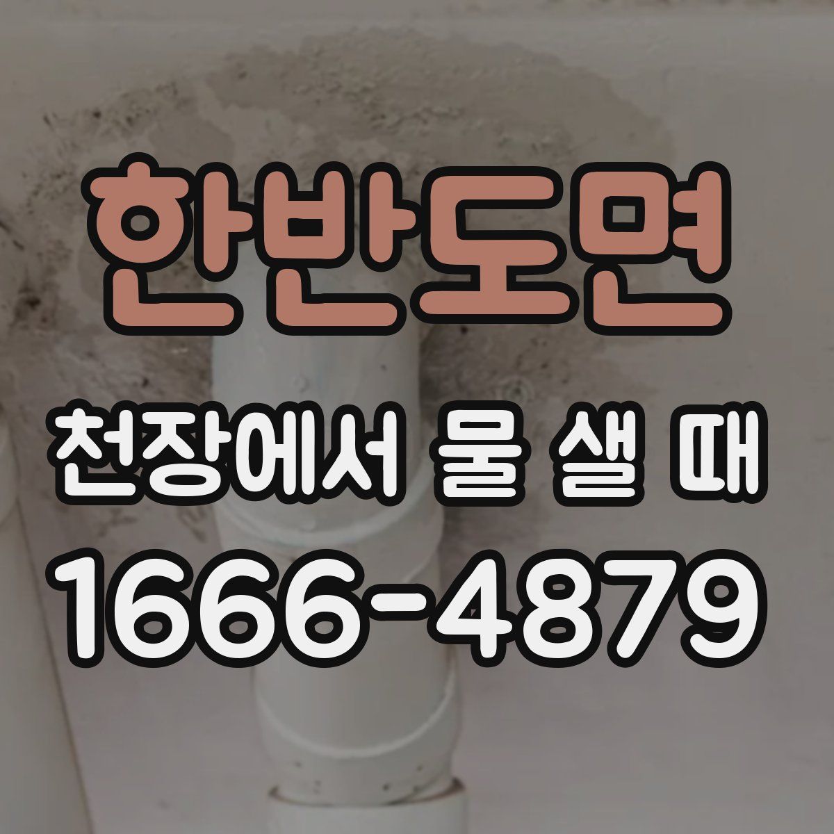 한반도면 천장에서 물 샐 때
