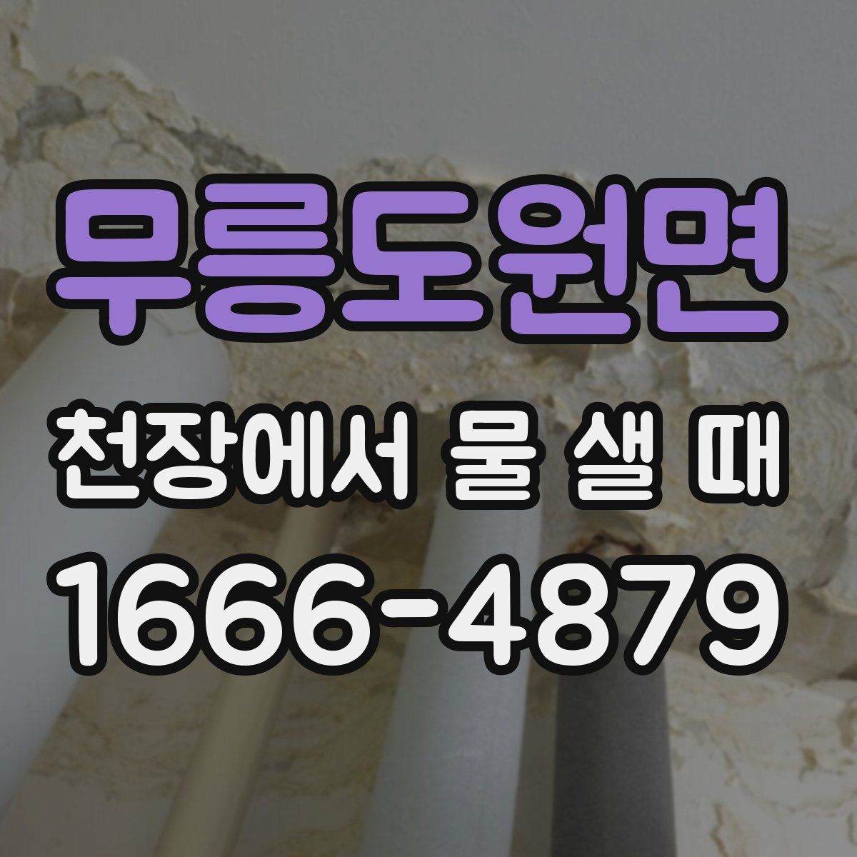 무릉도원면 천장에서 물 샐 때