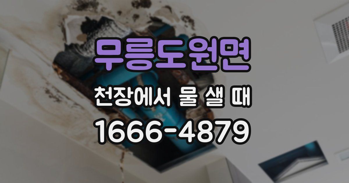 무릉도원면 천장에서 물 샐 때