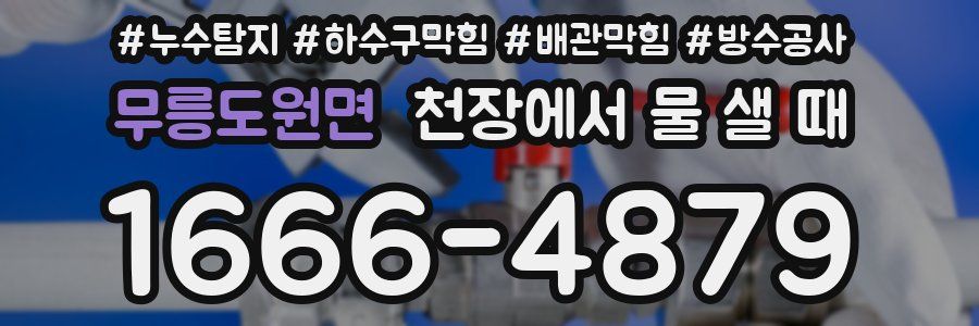 무릉도원면 천장에서 물 샐 때
