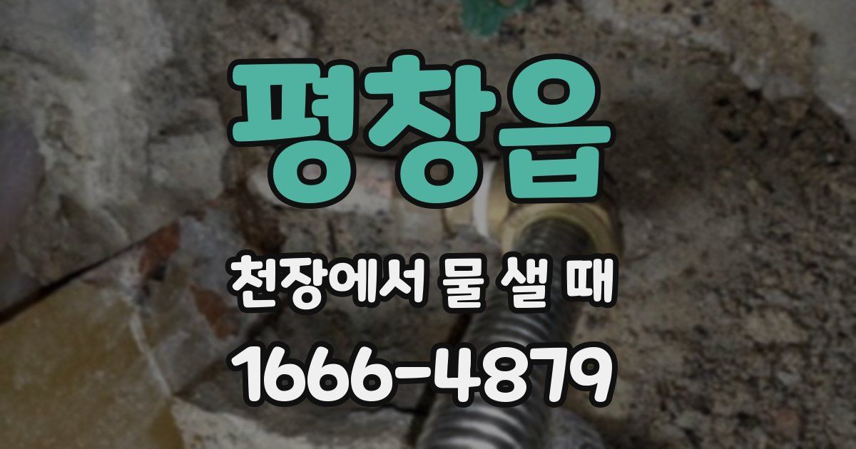 평창읍 천장에서 물 샐 때