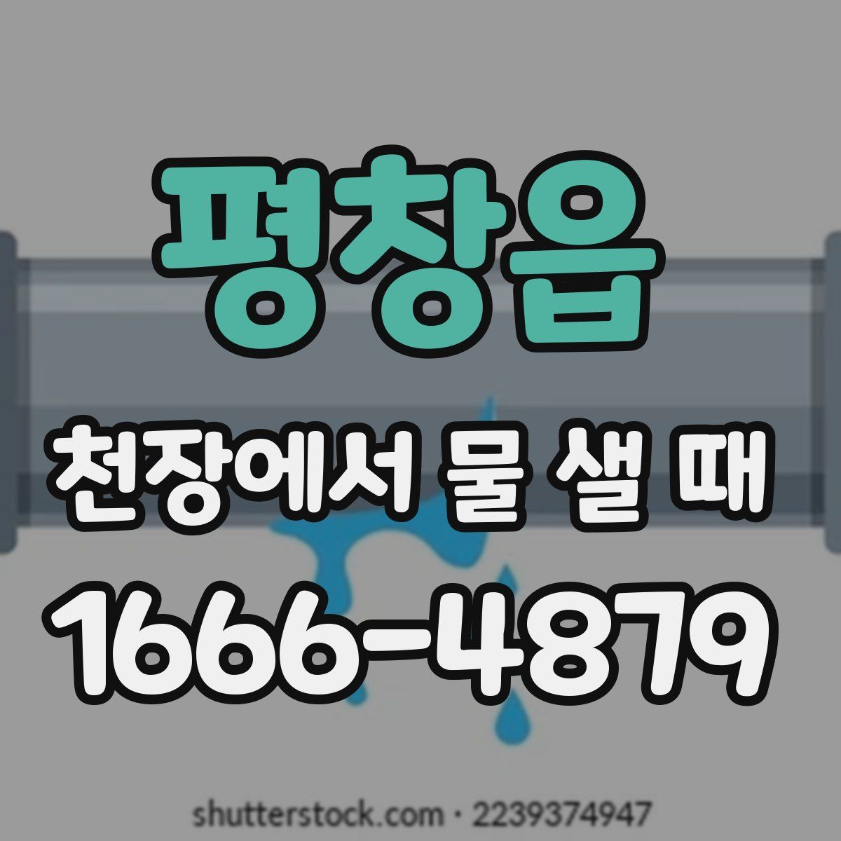 평창읍 천장에서 물 샐 때