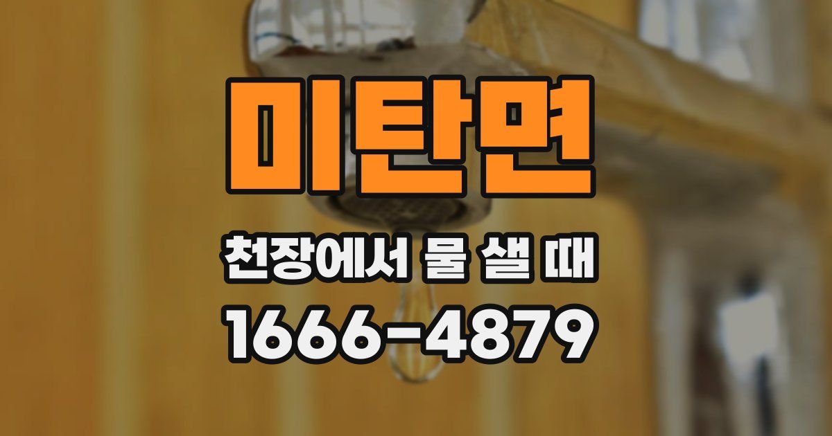 미탄면 천장에서 물 샐 때