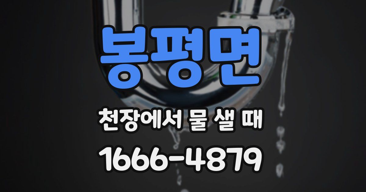 봉평면 천장에서 물 샐 때