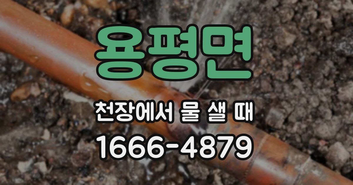 용평면 천장에서 물 샐 때